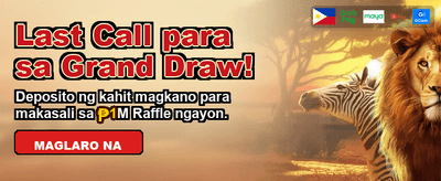 Fast Payouts and Huge Wins